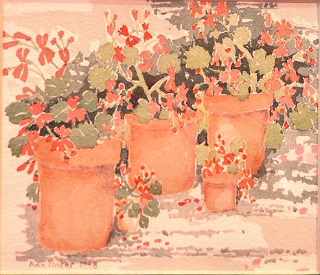 © Ann Foster - click to return