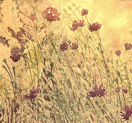 © Ann Foster - click to return